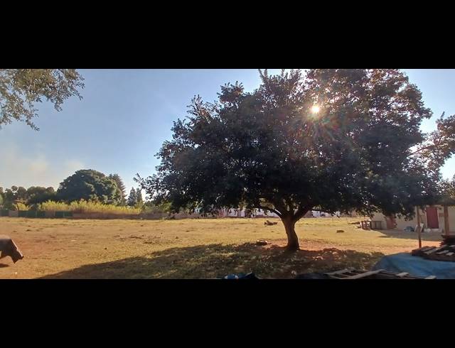 3 BEDROOM FREEHOLD FOR SALE IN TARLTON